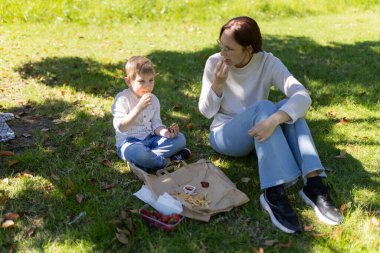 Anne ve oğlu parkta çimenlerde oturmuş patates kızartması, çilek ve ketçap pikniğini paylaşıyorlar.