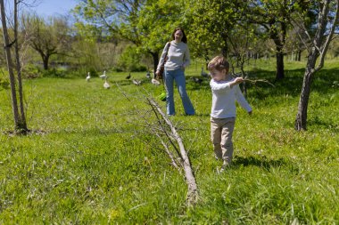 Annesi arka planda kazları izlerken küçük çocuk parkta sopayla oynuyor.