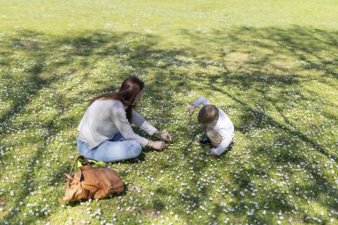Anne ve oğul, güneşli bir tarlada papatya toplayarak, doğanın güzellikleri arasında güzel anılar yaratarak güzel vakit geçiriyorlar.