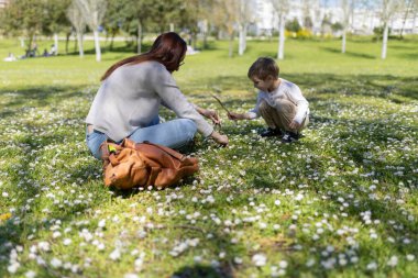 Anne ve oğlu güneşli bir bahar gününde parkta papatya topluyor.