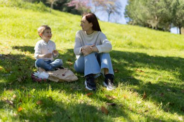 Mutlu anne ve oğul parkta piknik yaparken eğleniyor, bağ kuruyor ve birlikte güzel vakit geçiriyorlar.