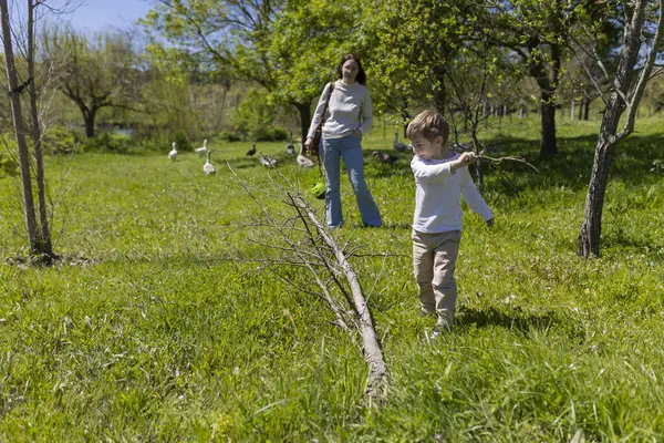 Annesi arka planda kazları izlerken küçük çocuk parkta sopayla oynuyor.