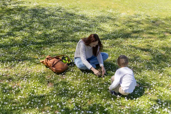 Anne ve oğlu güneşli bir bahar gününün tadını çıkarıyor. Çiçek tarlasında papatya topluyorlar.