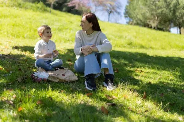 Mutlu anne ve oğul parkta piknik yaparken eğleniyor, bağ kuruyor ve birlikte güzel vakit geçiriyorlar.