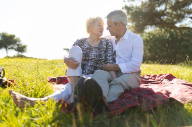 Sevecen yaşlı çift güneşli bir çayırda dinlendirici bir piknik sırasında sevgi dolu bir anı paylaşıyor.