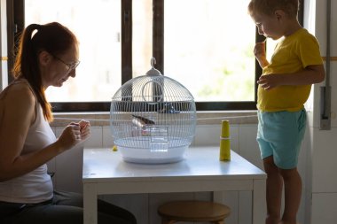 Kadın ve çocuk, evcil kuşlarına bakıyorlar. Bir kafesin içinde, masanın üzerinde.