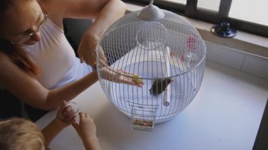 Kuş eğitiminde bir kadının küçük bir kuşu eline alması için eğittiği görülüyor.