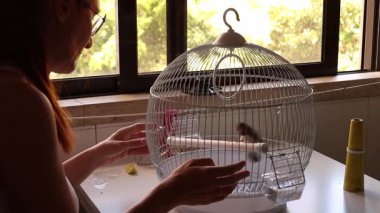 Yuvarlak bir kafeste kadın kuş yemi değiştiriyor.