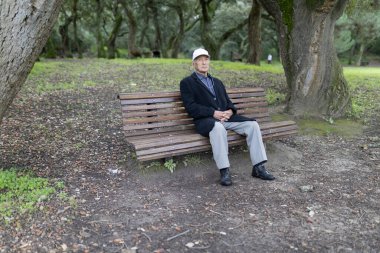 Yaşlı bir adam parktaki ahşap bankta oturarak huzurlu bir anın tadını çıkarıyor.