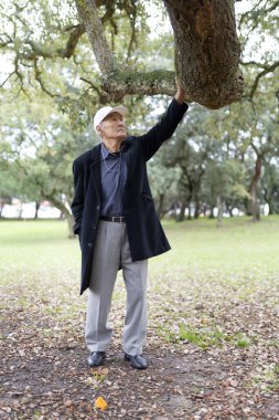 Paltolu ve şapkalı yaşlı bir adam bir sonbahar günü parkta bir ağaç dalına dokunuyor.