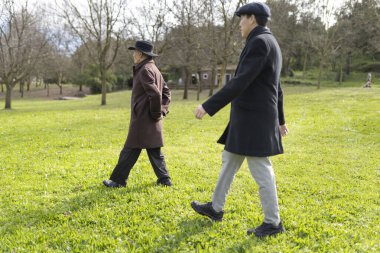 İki yaşlı adam parkta rahatça geziniyor, temiz hava ve güneş alıyor.