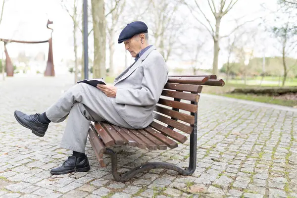 Yaşlı profesör not defterine not alıyor. Park bankında oturmuş, huzurlu bir ortamın tadını çıkarıyor.