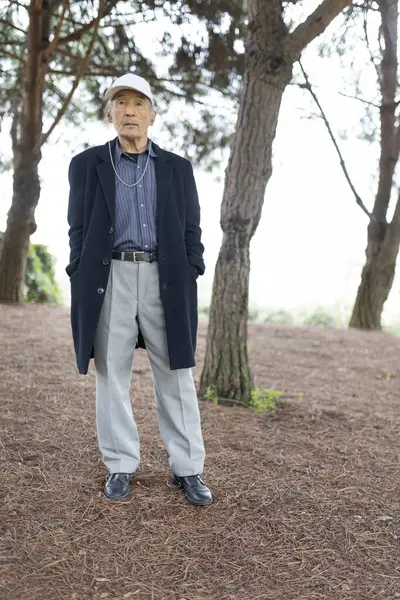 Parkta çam ağaçlarıyla poz veren şık kıdemli adam aktif yaşlanma ve doğanın tadını çıkartıyor.