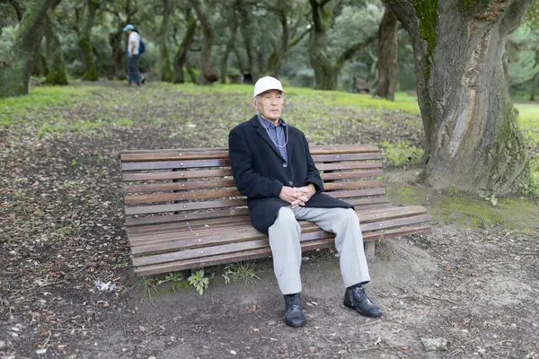 Yaşlı adam parktaki bankta huzurlu bir anın tadını çıkarıyor, doğanın huzurunu kucaklıyor.