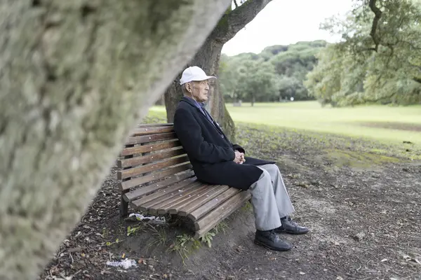 Parktaki bankta oturan yaşlı bir adam, doğayla çevrili huzurlu bir anın tadını çıkarıyor.