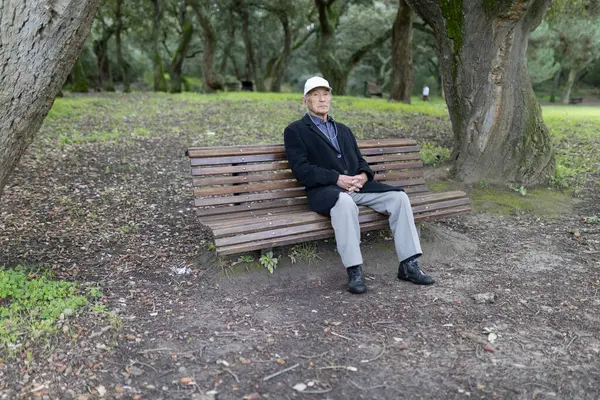 Yaşlı bir adam parktaki ahşap bankta oturarak huzurlu bir anın tadını çıkarıyor.