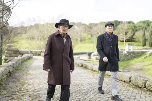 Paltolu iki yaşlı Asyalı bulutlu bir günde parkın kaldırım taşı yolunda yürüyorlar.