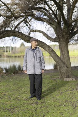 Huzurlu bir gölün kıyısında söğüt ağacının altında duran yaşlı Asyalı adam, doğanın huzurunun tadını çıkarıyor.