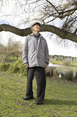 Parkta dikilen yaşlı adam güneşli bir günde bir ağaca bakıyor.