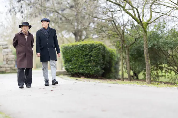 Yaşlı bir baba ve yetişkin bir oğul kış boyunca parkta birlikte yürüyüp konuşurlar.