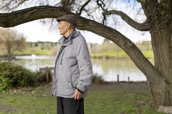 Huzurlu bir park ortamında gölün kenarında duran gri ceketli ve düz şapkalı yaşlı adam.