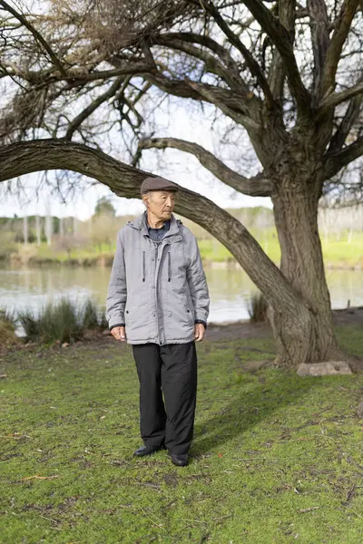 Huzurlu bir gölün kıyısında söğüt ağacının altında duran yaşlı Asyalı adam, doğanın huzurunun tadını çıkarıyor.