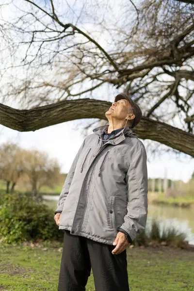 Kulaklık takan, müzik dinleyen ve parktaki ağaca bakan yaşlı bir adam.