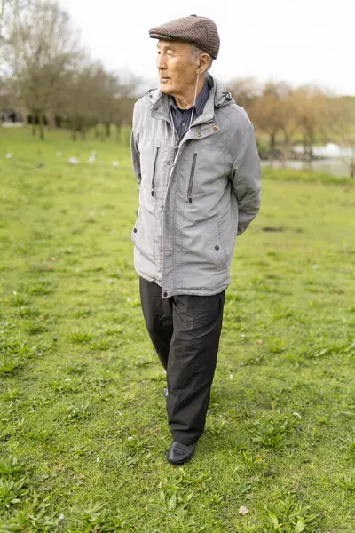 Yaşlı bir adam bulutlu bir günde çimenli bir parkta yürüyor.