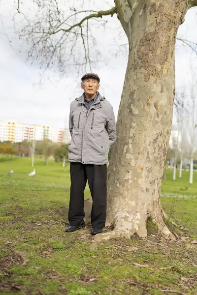 Yaşlı Asyalı bir adam parkta duruyor, büyük bir ağacın gövdesine yaslanıyor.