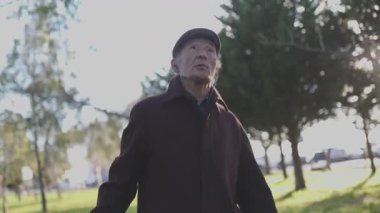 Kıdemli adam parkta huzurlu bir gün geçirir, doğayı gözlemler ve temiz hava alır.