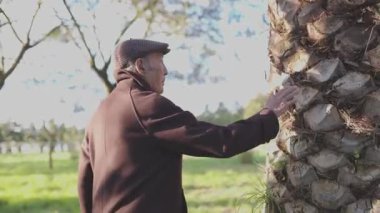 Kıdemli adam parktaki palmiye gövdesini inceliyor.