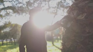 Yaşlı adam parkta huzurlu bir anın tadını çıkarıyor, nazikçe bir palmiye ağacına dokunuyor.