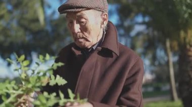 Kulaklık takan ve parktaki bir bitkiyi analiz eden kıdemli bir adam.