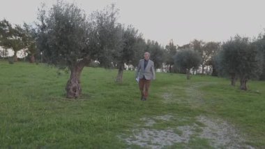 Yaşlı profesör zeytinlikte yürüyor.