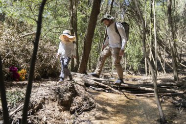 Yürüyüşçüler, güneşli bir ormandaki dallardan oluşan bir köprünün deresinden geçiyorlar.