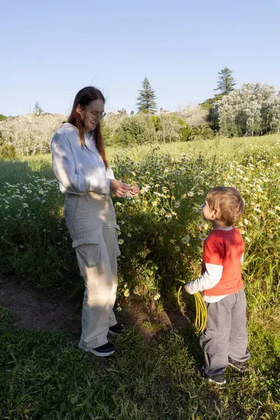 Anne ve oğlu güneşli bir günün tadını çıkarıyorlar çayırdaki kır çiçeklerini toplayarak