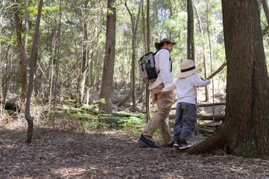Baba ve oğul ormanda yürüyüş yapıyor, doğayı keşfediyor ve birlikte anılar yaratıyorlar.
