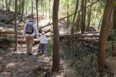 Baba ve oğul, bereketli ağaçlar ve düşmüş odunlarla çevrili güneşli bir orman yolunda huzurlu bir yürüyüş yapıyorlar.