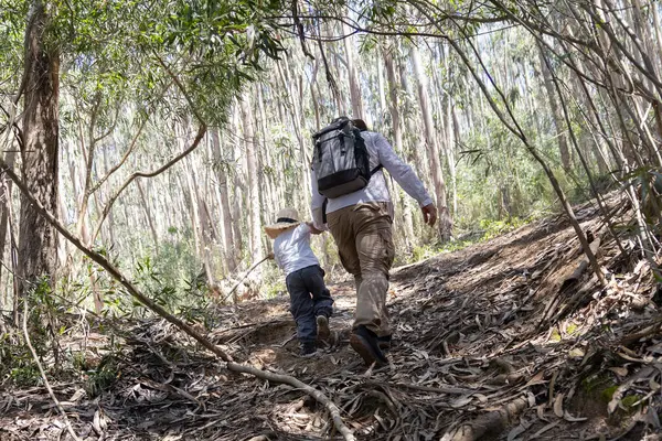 Baba ve oğul birlikte yürüyüş yapıyor, doğayı keşfediyor ve anılar yaratıyorlar.