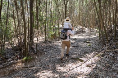 Baba, güneşli bir orman yolunda yürürken çocuğunu omuzlarında taşıyor.