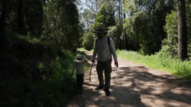 Turistler sakin bir orman yolunda sakin bir şekilde yürüyorlar.