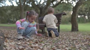 İki genç sonbahar yapraklarıyla oynayan park bankının yanında
