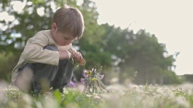 Yoğunlaşmış çocuk tarlada çiçek kompozisyonu yapıyor.
