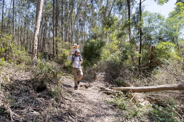 Baba ve çocuk güneşli bir orman yolunda sakin bir yürüyüş yapıyorlar.