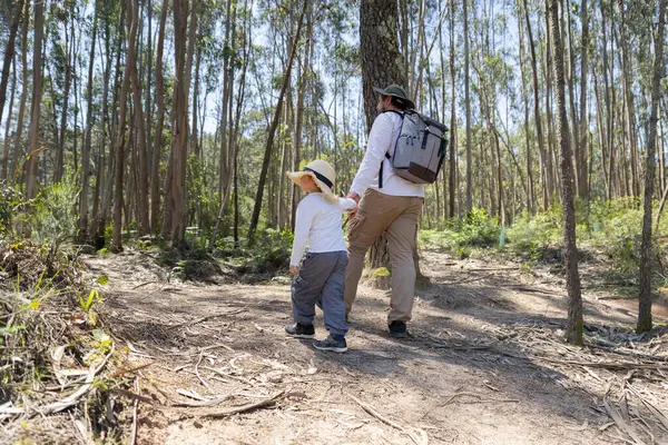 Baba ve oğul güneşli orman patikasında sakin bir yürüyüş yapıyorlar.