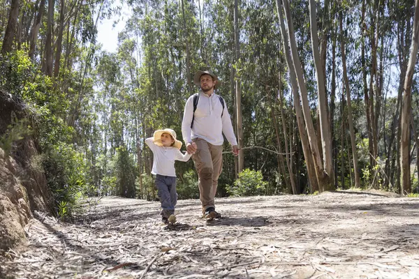 Baba ve kızı güneşli bir okaliptüs ormanında yürüyüp aile bağlarını ve açık hava maceralarını destekliyor.