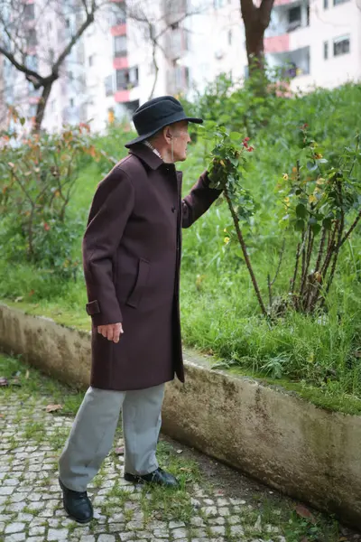Kıdemli beyefendi şehir parkında sakin bir gezinti sırasında çiçeklerin kokusunun tadını çıkarıyor.