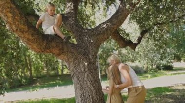 Aile, güneşli bir günün tadını çıkarır. Ağaçlara tırmanıp, anılar yaratırlar.