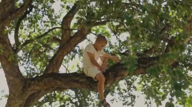Sarışın çocuk güneşli bir günde dikkatlice büyük bir ağaç dalına tırmanıyor.