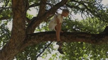Genç çocuk oturmuş büyük bir ağaç dalında oynuyor.